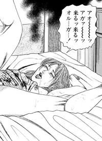 [Sanjou Tomomi] Hanayome Dorei