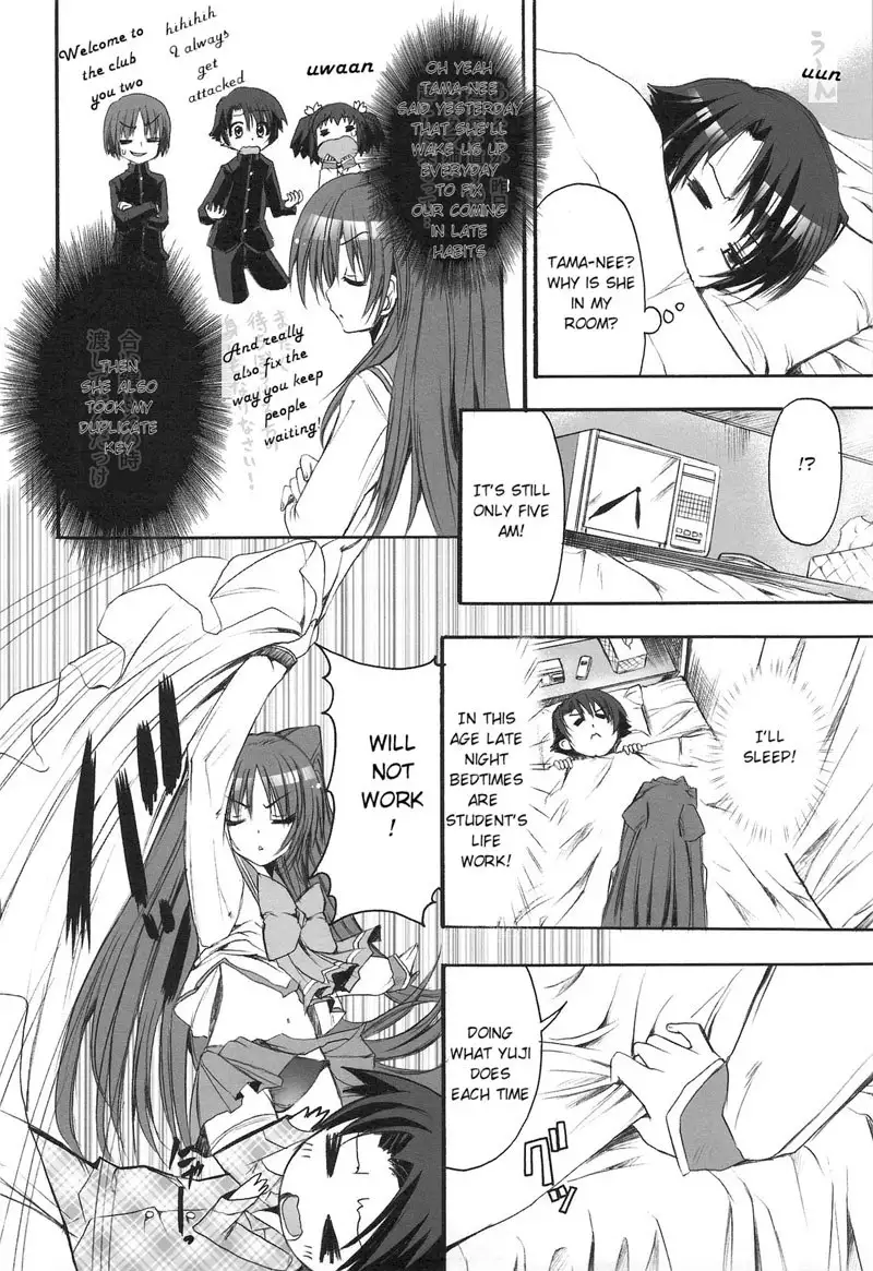 PICOMANI 04