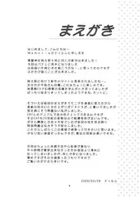 (Reitaisai 6) [Memoria (Tilm)] Akuma no Itazura (Touhou Project)