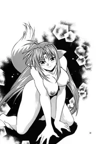 (SC34) [Studio Katsudon (Manabe Jouji)] Kemonotachi no Bansan (Mahou Shoujo Lyrical Nanoha)