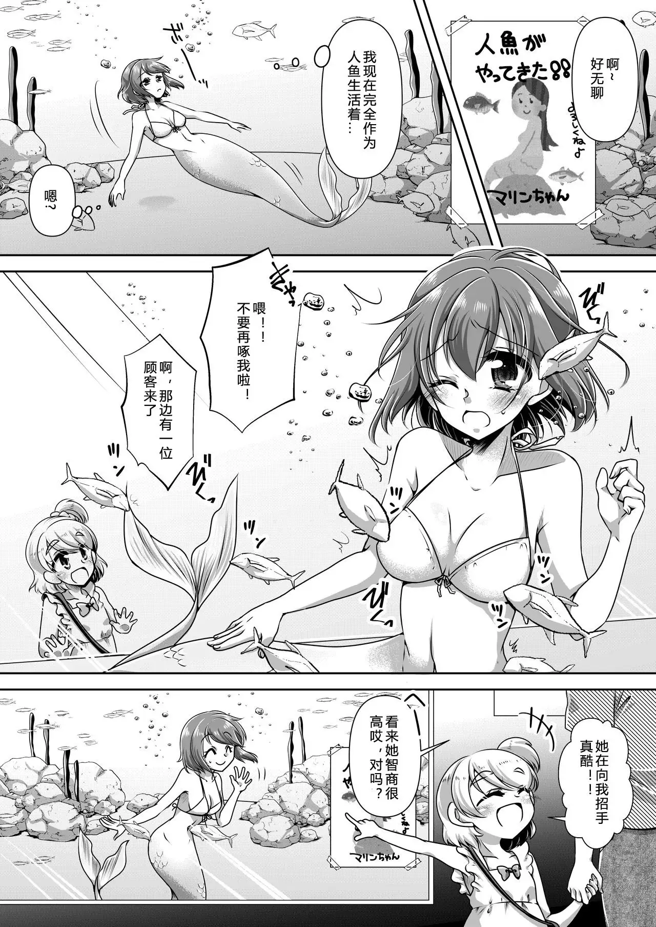 Memories of a Mermaid | 美人鱼的回忆