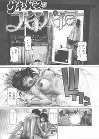 [Hori Hiroaki] Nekomimi Taisen