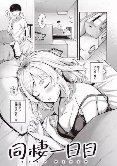 Hajimete Holic - First Love Holic