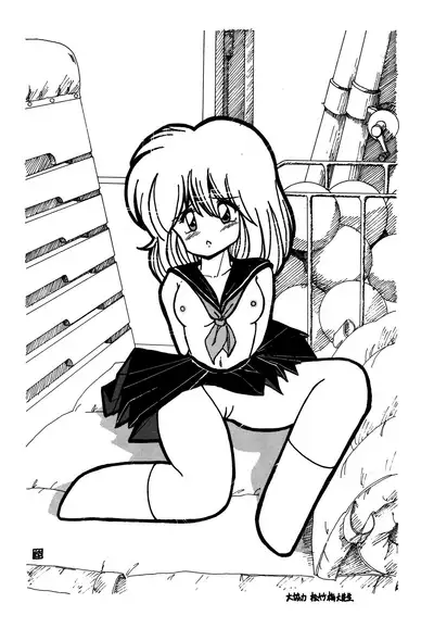 Usukuchi Shouyu