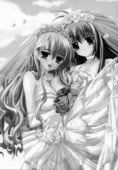 Virgin Love
