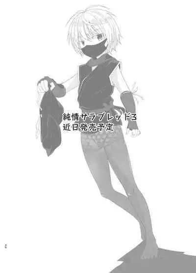 Junjou Thoroughbred Shukuhaku Gakushuu Hen NEXT