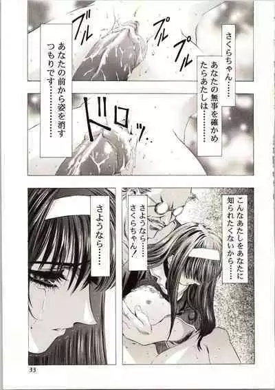 Sakura Ame III