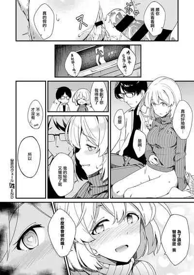 Himitsu no Veil