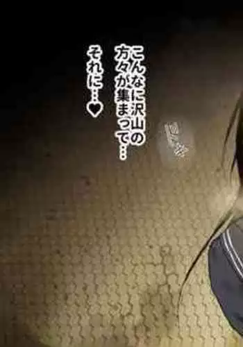ふたなり妹様の愛玩人形