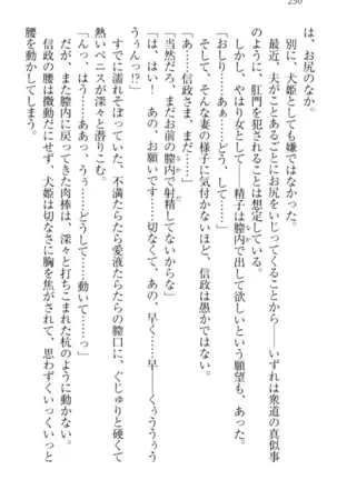 戦国犬姫！