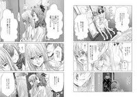 [Miyazaki Maya] Holy Knight ~Junketsu to Ai no Hazama de~ Vol. 3