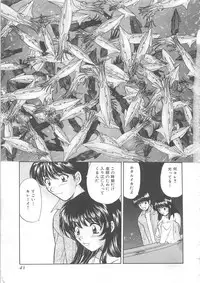 [Hirose Miho] Oneesan ni Onegai