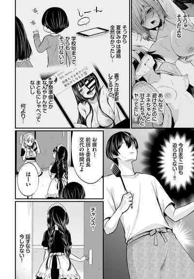 Dascomi Vol.23