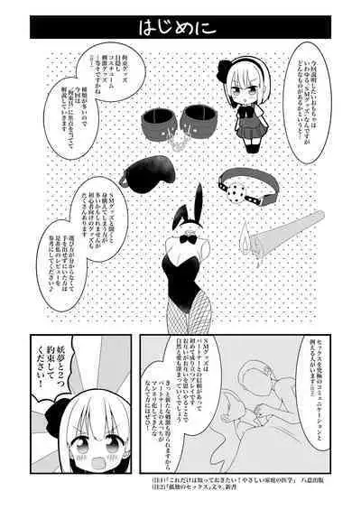 妖夢ちゃんがアダルトグッズのレビューをする話〈拘束編〉