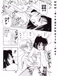 (C52) [Fusuma Goten (Shouji Hariko)] Irohani (Dragonball Z)