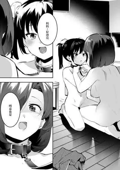 meika no happi kazokukeikaku（chinese）