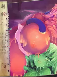器官姬3