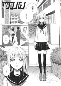 [Sumiya] Lycoris