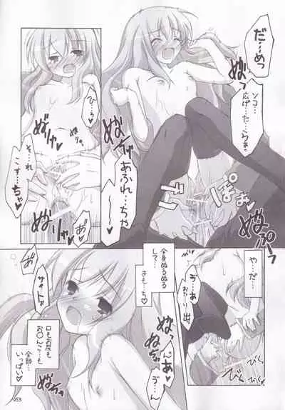 Ruizukushi