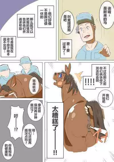 有秘密的竞赛马