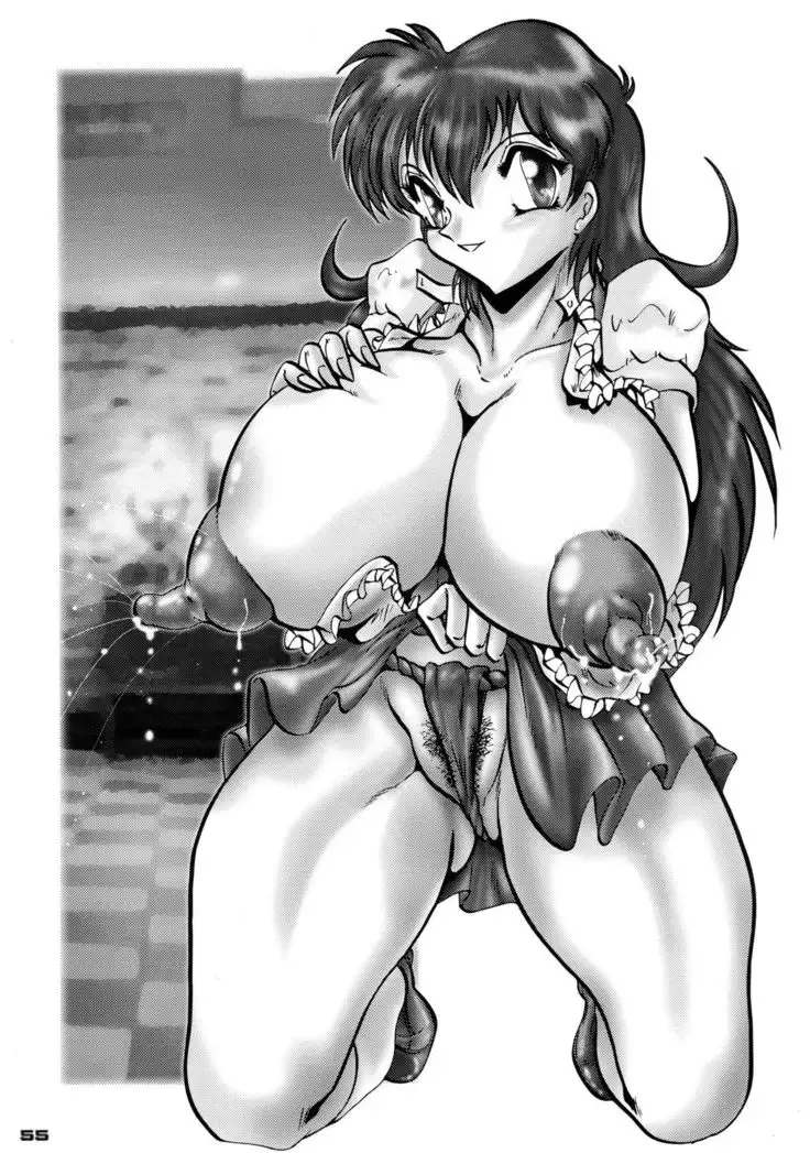 Shin Hanzyuuryoku XII