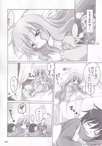 Ruizukushi