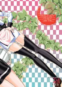 [LUCK&PLUCK!Co. (Ananomiya Haruka)] Měirén tiānguó (Gundam SEED DESTINY)