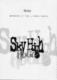 (C62) [Sarurururu (Doru Riheko)] Holic 2 Sky High (Street Fighter)