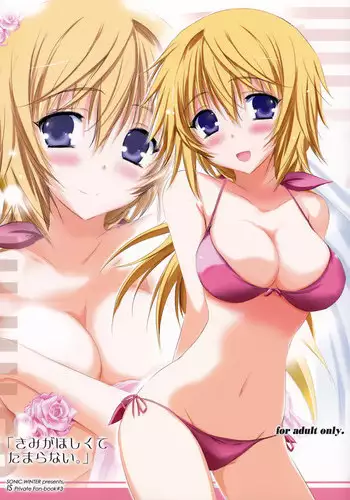 (C81) [SONIC WINTER (Tsukishima Kai)] Carol (Infinite Stratos) [English]
