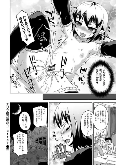 Elisa-sama Goyoujin!!