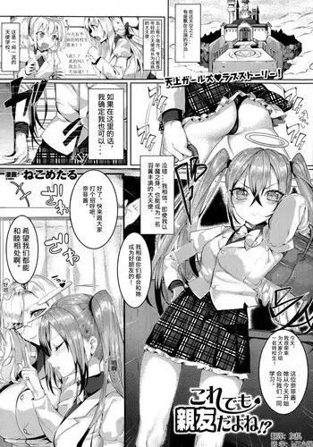 Kore demo Shinyuu dayo ne!?