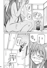 (CT15) [FOX・HOUND (Sugiyama Takashi)] Kousinryou wo Ookami ni Ⅰ (Spice and Wolf)