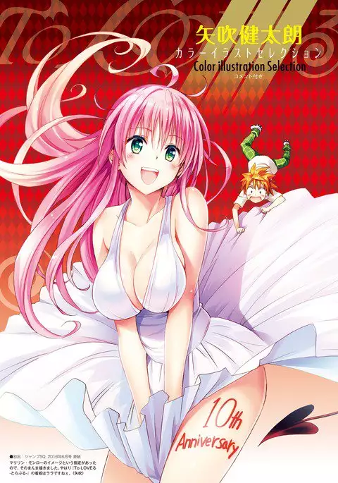To Love-Ru Series 10th Anniversary Book Chronicle