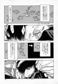 [Sitoe Catherine] Ly.le Strings