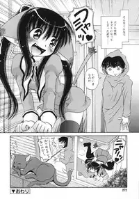 Comic Rin Vol. 29 [2007-05]