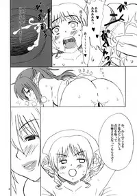 (J.GARDEN 22) [Oldwiseman (Saizuka Mio)] Echidna-chan Majierosu (Queen's Blade)