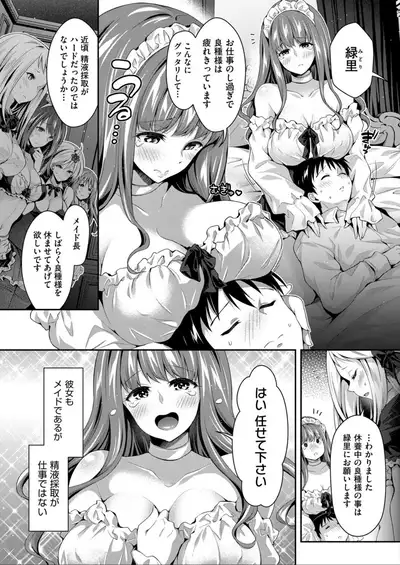 Harem Maid No Damedame Ecchi