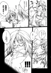 (C72) [Akai Tsubasa (Tachibana Chata)] LOVE FOOL.05 (Fantasy Earth ZERO)