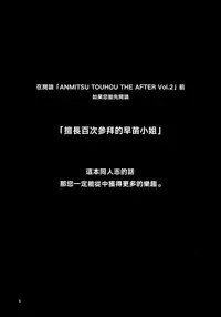 ANMITSU TOUHOU THE AFTER Vol.2