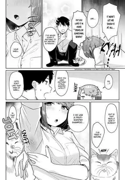 Neko nochi Amayadori