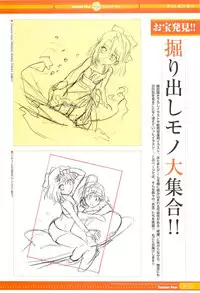 SummerDays Visual Guide Book