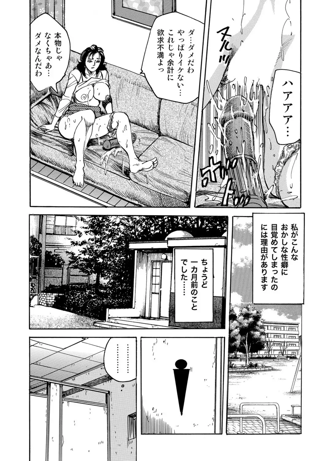 Jitsuroku Bikei Shirouto Bijin Zuma Inran Nikki