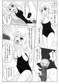 (C85) [Hazuki Tsuitachi (Kishimen)] Jouzu ni Dekimashita! (Fate/kaleid liner Prisma Illya)