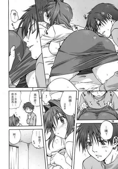 Akiko-san to Issho