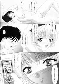 (C70) [Amusement Engineering (Serizawa Houri)] Shougai Chuusei round - IV (Full Metal Panic!)