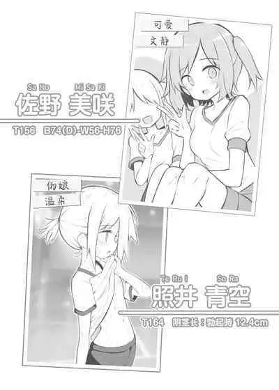 Bunkasai Soapland