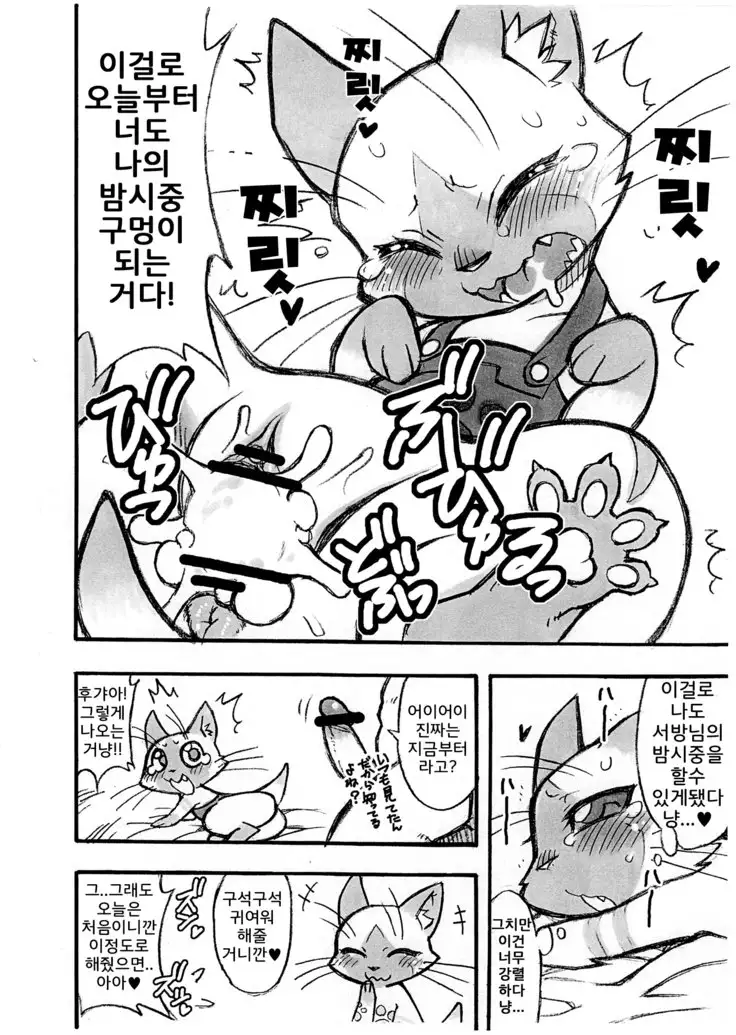 Yoru no Otomo ni Airou wo.
