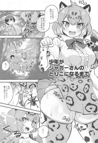 Ura Matometa no