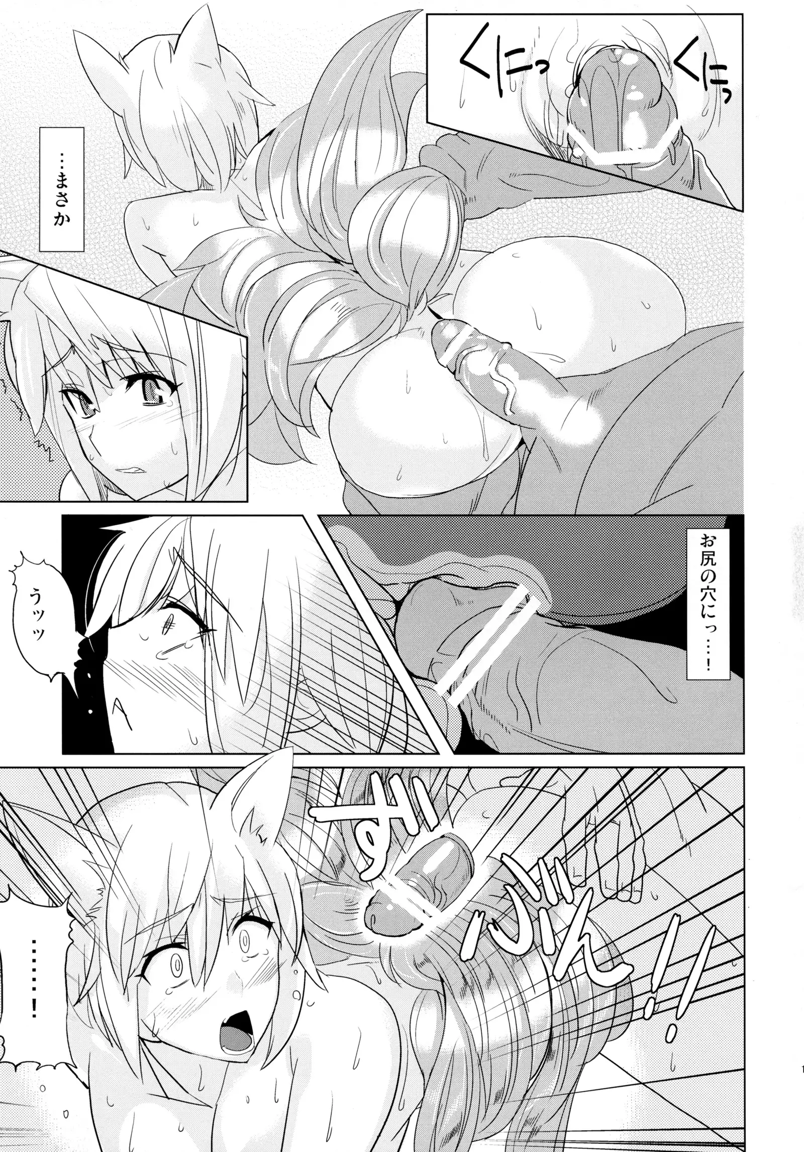 Tadashii Youko no Shitsukekata