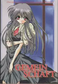 (C61) [TERRA DRIVE (Teira)] GEMEIN SCHAFT (Air)